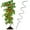 A, variant on GBAYXJ Tomato Stake Tomato Stakes Plant Support Stakes For Climbing Plants Plant Supports For Tomato Rose Vine metal(A)