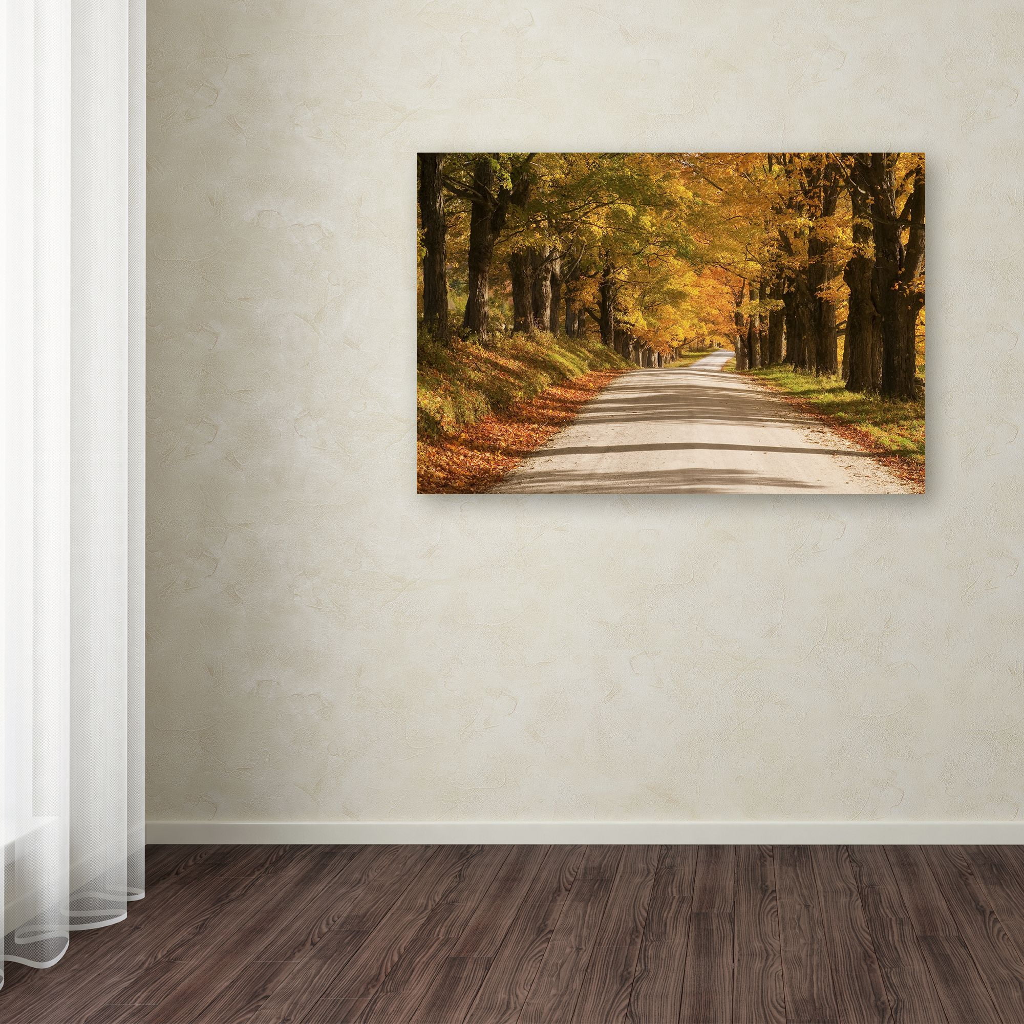 Trademark Fine Art 'Maple Canopy' Canvas Art by Michael Blanchette Photography