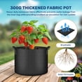 thumbnail image 2 of PEACNNG iPower 10 Gallon 6-Pack Plant Grow Bag Fabric Pots Containers, 2 of 7