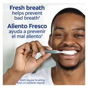 Colgate Triple Action Toothpaste, Original Mint, 6 oz Tube