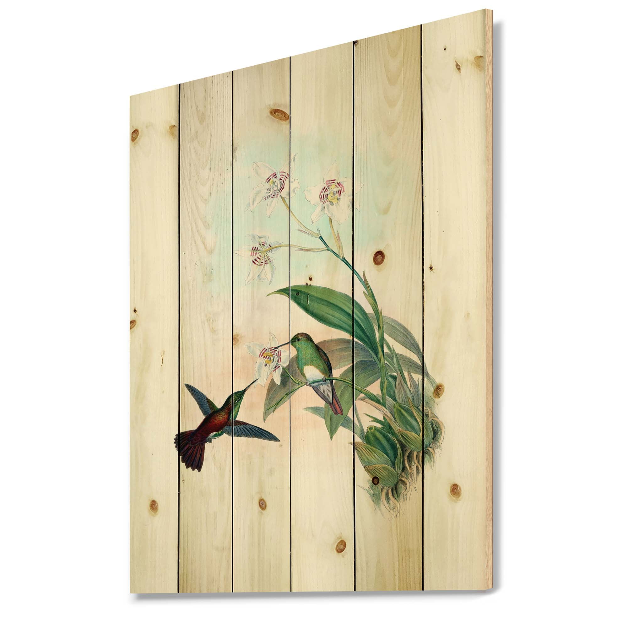 Designart 'Historic Hummingbird Flying To A Flower' Traditional Print on Natural Pine Wood