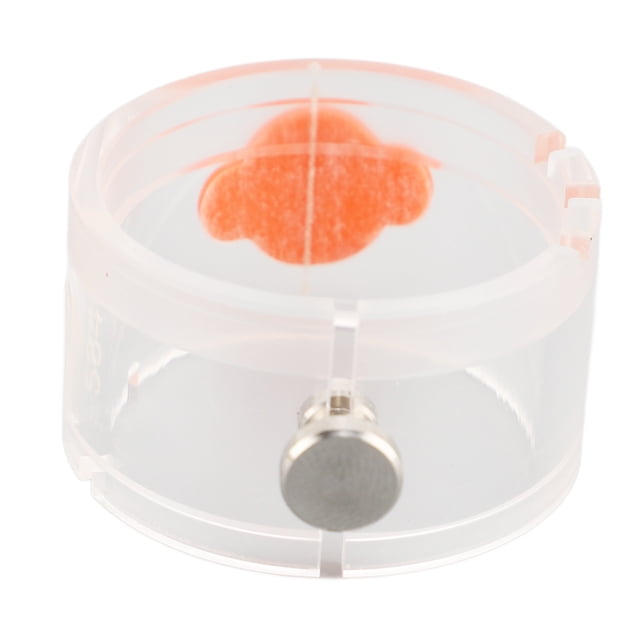Soporte de Movimento de Reloj, Soporte de Plástico Multifuncional, Base de Reparacia, Base de Mantenimiento de Reloj para Ajuste