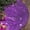 Purple-PP-clearacne, variant on OEFNTAC Decorations Christmas Tree Skirt 36in Sequin Velvet Glitter Vintage Holiday Tree Base Cover Home Party Decor Easy Install Christmas Accessories