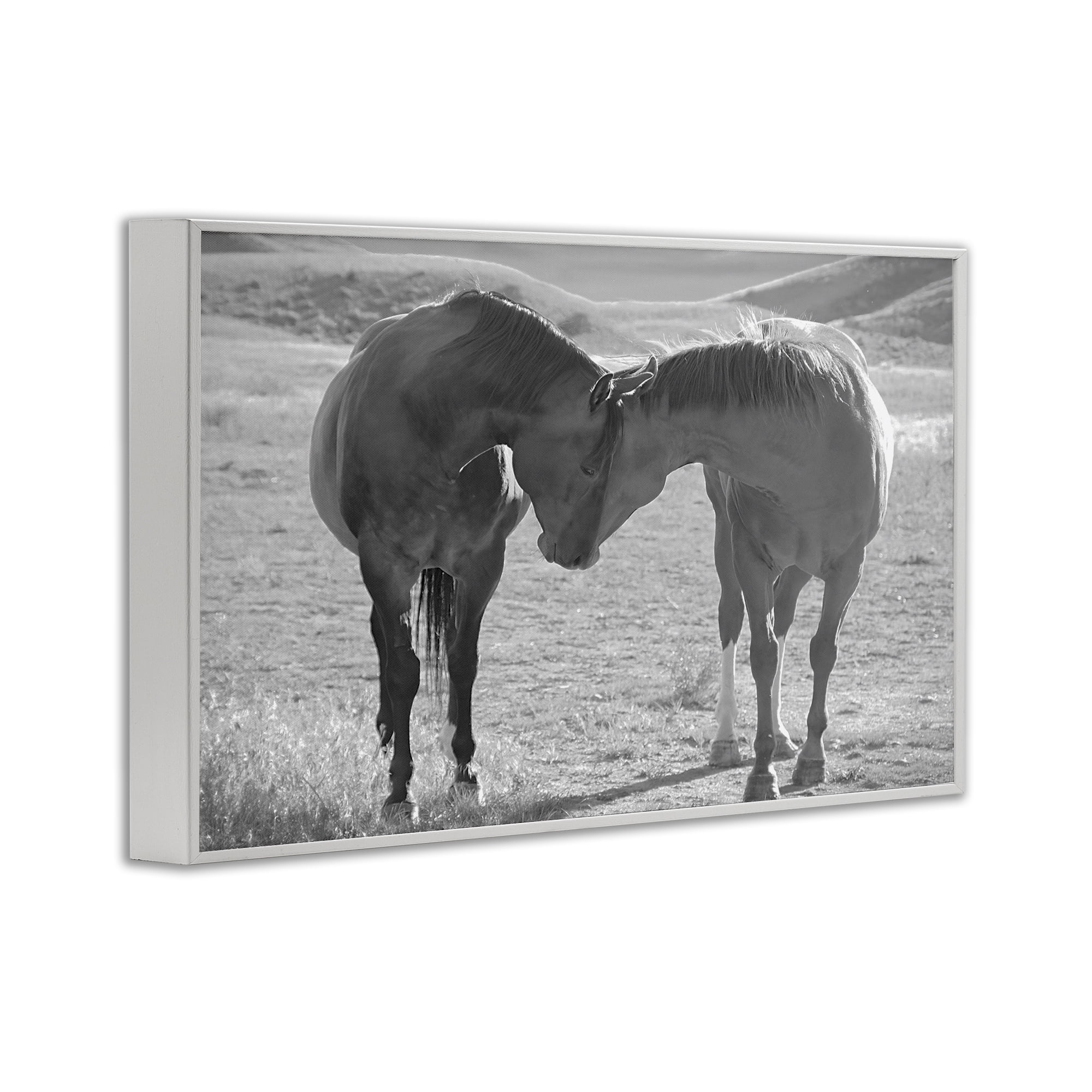 Stupell Industries Sweet Nothings Bond Between Horses White Framed Giclee Art, design by Steve Toole