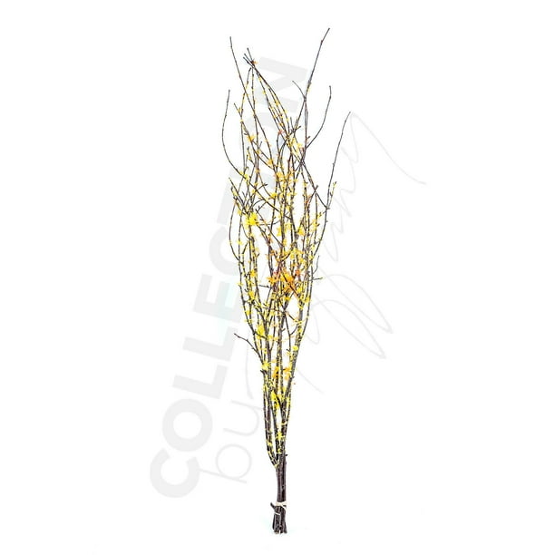 Decorative Dried Birch Branches 3 4 Ft Tall (4 5