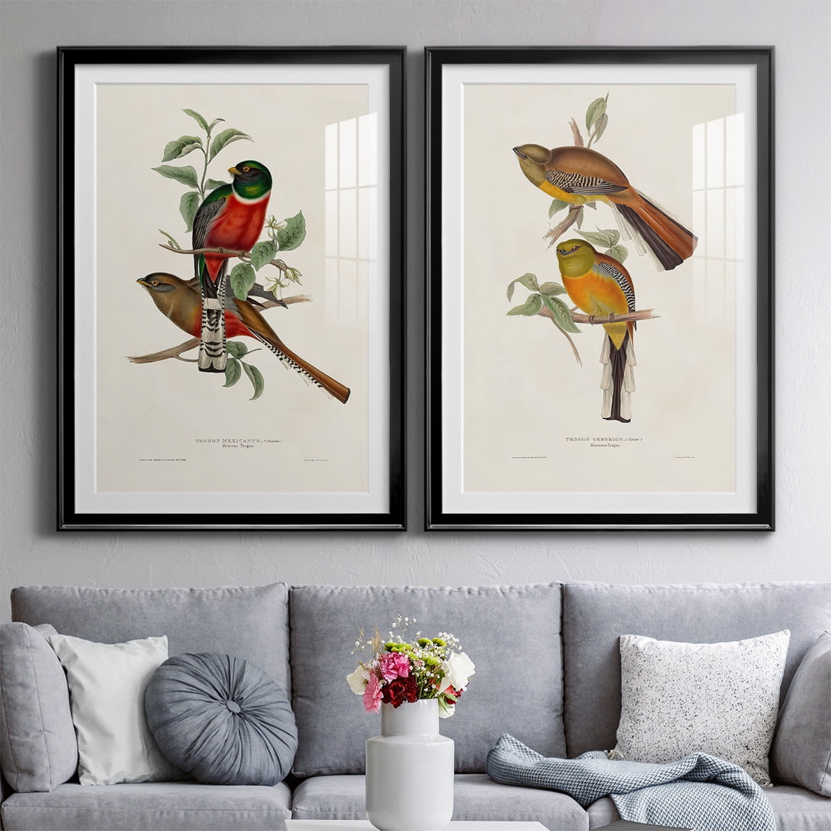 Wexford Home Elegant Trogons I Premium Framed Print, 18.5" x 24.5" - Ready to Hang, Black (Set of 2)