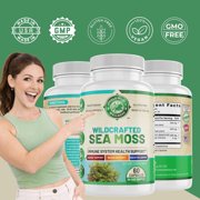 Organic Sea Moss Supplement with Bladderwrack and Burdock Root for Immune Support 60 Capsules