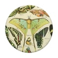 thumbnail image 3 of Adhesivo PopSockets PopGrip, lindos insectos, ilustraciones científicas, 3 of 6