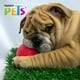 thumbnail image 3 of Juguete Pelota Chew Fancy Pets PELOTA, 3 of 3