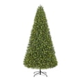 thumbnail image 3 of 9 ft. Barbour White Spruce Christmas Tree, 3 of 5