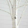 thumbnail image 6 of Nearly Natural 7ft. Pre-Lit Artificial White Birch Tree with 400 Warm White LED Lights, 6 of 12