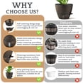 thumbnail image 5 of FIASON 2 Pack 10 Inch Bronze Self-Watering Plastic Plant Pots, Indoor Outdoor Garden Planters with Drainage Holes, Watering Lip & Removable Saucer for House Plants & Flowers, 5 of 10