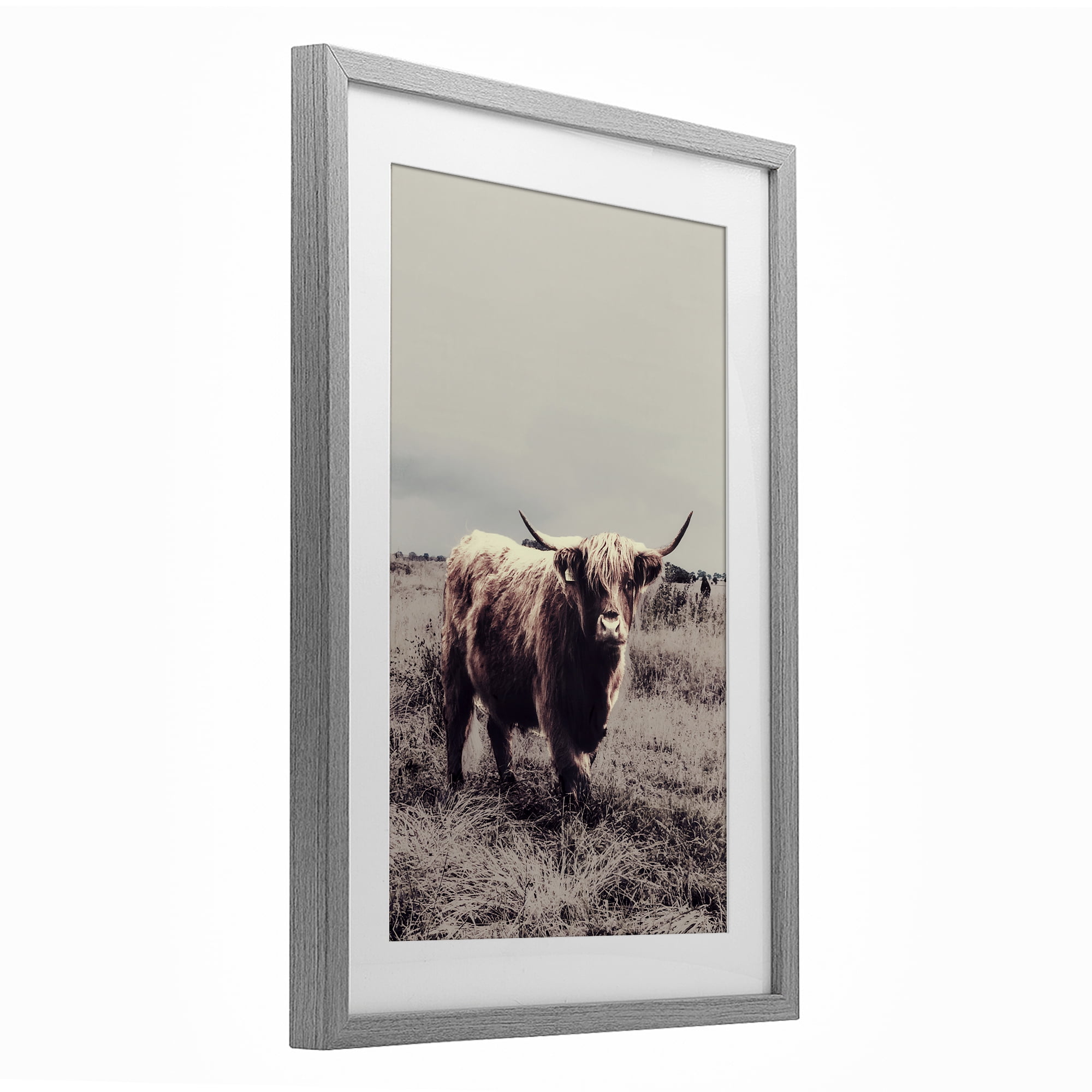 Stupell Industries Horned Cattle in Pasture Gray Framed Print Under Glass, design by SD Graphics Studio