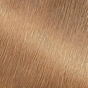 Garnier Nutrisse Nourishing Hair Color Creme, 80 Medium Natural Blonde (Butternut)