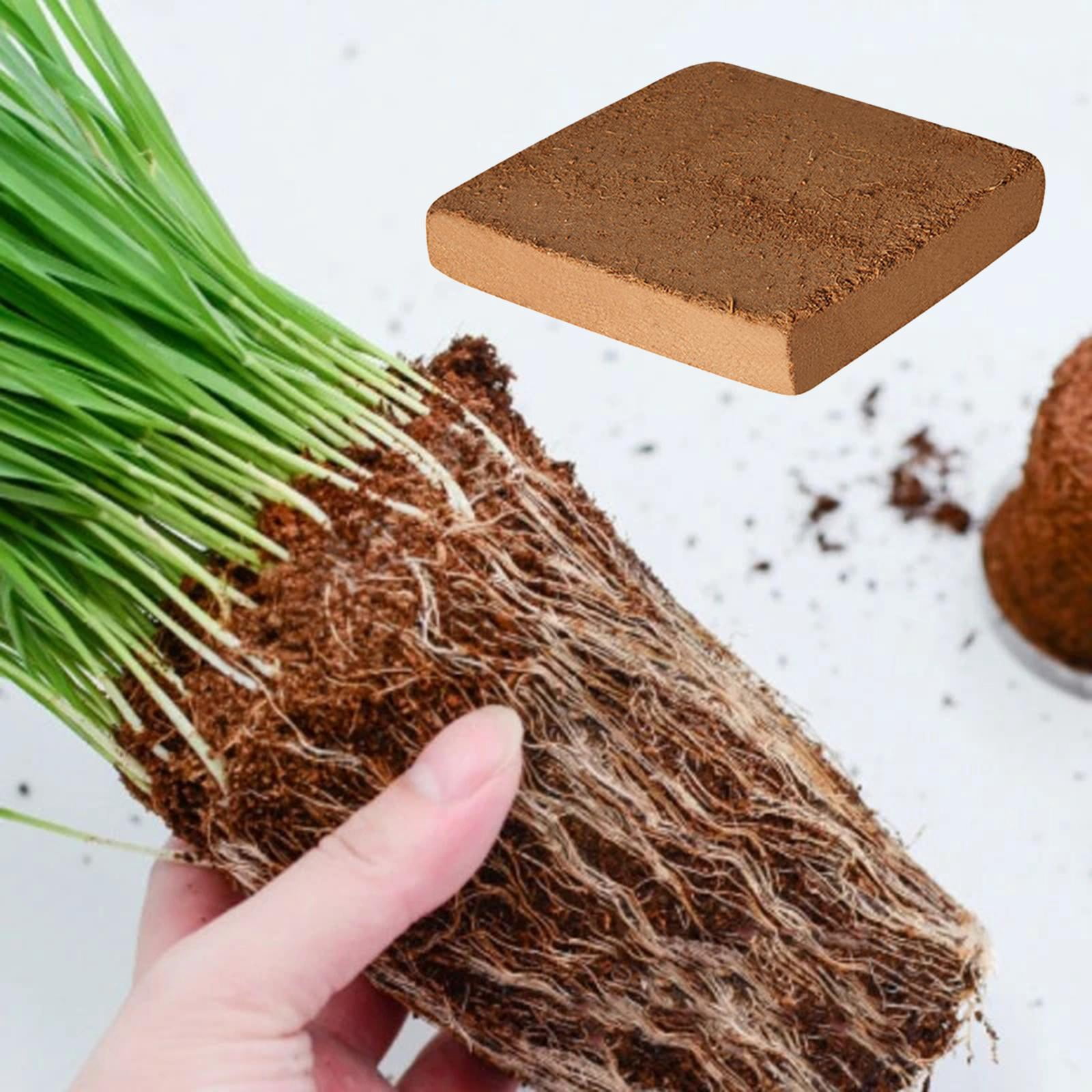 Vensio 2-Pack Compressed Coconut Fiber Soil Bricks Organic Coconut Coir Pith for Worm Bedding Gardening