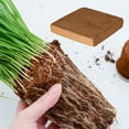 Planting Coconut Soil Coconut Coir Brick for Worm Bedding Vegetables Composting