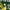 dark green-style, variant on Pokemon Casual Hoodies, Unisex 3D Printed Cute Loose Fit Long Sleeve Sweatshirt for Men Women