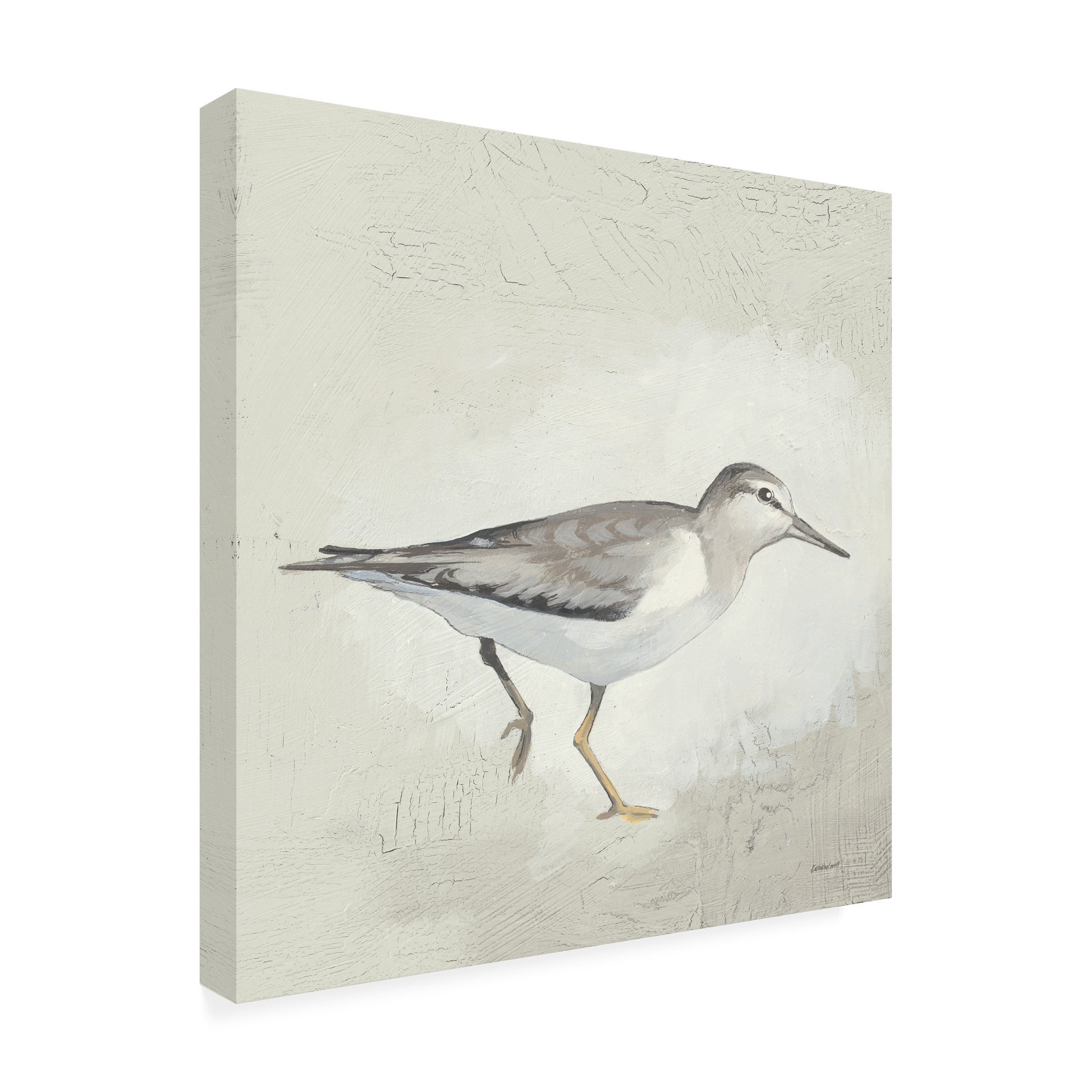 Kathrine Lovell 'Sea Birds III' Canvas Art