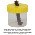 thumbnail image 5 of JCs Wildlife Double Nectar DOTS Hanging Butterfly Feeder, 5 of 8