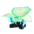 thumbnail image 2 of SPRING PARK Aquarium Decorations,Simulation Luminous Dotted Artificial Anemone, Plastic Aquarium Ornament Decorations for Fish Tank Decorations, 2 of 7