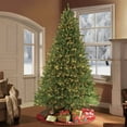 thumbnail image 5 of Puleo International Fraser Fir Clear Pre-lit Full Christmas Tree, 5 of 6