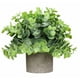 thumbnail image 4 of Set de 3 macetas decorativas HappyWare plantas artificiales diseño Moderno, 4 of 4