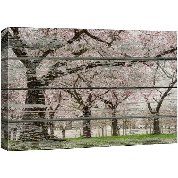 wall26 Canvas Print Wall Art Cherry Blossom Trees on Wood Panels Wilderness Nature Photography Modern Art Rustic Scenic Relax/Calm Multicolor for Living Room, Bedroom, Office - 32"x48"
