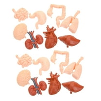 WHAMVOX  2 Sets Human Anatomy Anatomical Pathology Liver Model Child
