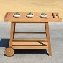 Safavieh Renzo 2 Tier Outdoor Farmhouse Wooden Bar Cart