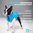 thumbnail image 4 of AiryVest Lightweight Reversible Winter Dog Coat - Warm Dog Jacket - Water Resistant Windproof - Insulated Dog Apparel for Small, Medium & Large Dogs - Comfortable Dog Puffer Vest - Black/Light Blue, 4 of 5