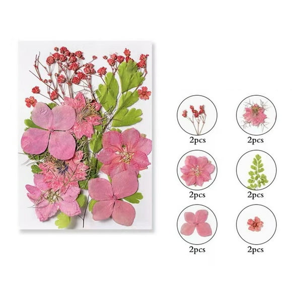 Fleurs Séchées Pressées pour Résine, Vraies Fleurs Pressées Feuilles Sèches en Vrac Kit d'Herbes Naturelles pour Scrapbooking Bricolage Artisanat, Moules à Bijoux en Résine Époxy, Bougie, Fabrication de Savon, Décoration d'Ongles