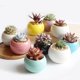 thumbnail image 2 of Good Quality 10 Colors Cute Ceramic Flowerpot Vase Cactus Succulent Plants Potted Flower Arrangement Home Decoration He Qiyong unisex, 2 of 2