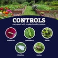 thumbnail image 2 of Harris Seeds Bonide Pyrethrin Garden Insect Spray Concentrate, Pest Control for Vegetables and Flowers, 1 Pint, 2 of 7
