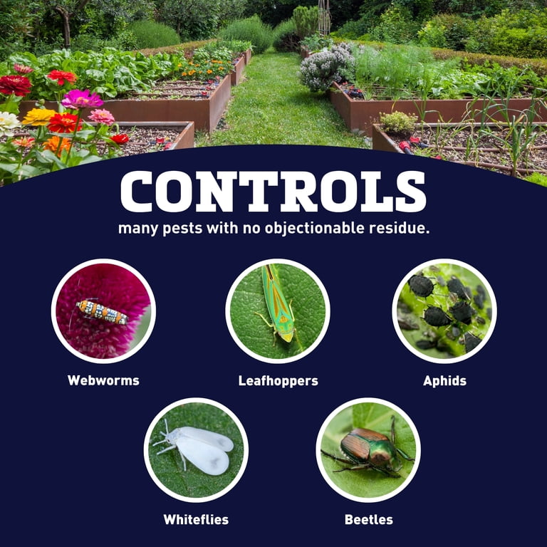 BONIDE Pyrethrin Insect Killer Liquid Concentrate 16 oz for Garden and Yard  Pest Control - Walmart.com