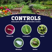 Harris Seeds Bonide Pyrethrin Garden Insect Spray Concentrate, Pest Control for Vegetables and Flowers, 1 Pint