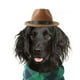 thumbnail image 3 of Sombrero de vaquero para mascotas, accesorios para disfraces, sombreros con cordón ajustable para perros pequeños y grandes, cachorros de Chihuahua pa marrón Sunnimix Sombrero de vaquero para mascotas, 3 of 7