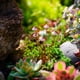 thumbnail image 4 of Buy 2 get 10% off ! Ground Decoration Metal Flower Pot For Decoration, 4 of 5