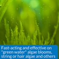 thumbnail image 3 of LM API AlgaeFix for Freshwater Aquariums 8 oz, 3 of 3