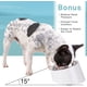 thumbnail image 2 of Cuenco para perros y gatos de 11*4,5 CM, cuenco inclinado antideslizante, cuenco moderno para perros, con cuenco de acero inoxidable desmontable, blanco Rojo Verde, 2 of 5