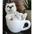 thumbnail image 7 of Realistic Mini Adorable West Highland White Terrier Dog Teacup Statue 3"H Westie, 7 of 7