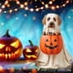 thumbnail image 3 of Decoración hogareña Ghost Dog Candy Bowl Stand, Halloween Dog Candy Bowl, Halloween Dog Candy Stand, Outdoor Halloween Candy Bowl, Halloween Candy Bowl Big Pumpkin Candy Plate - Perro Zhivalor XMWJ133-2, 3 of 3