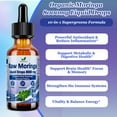 thumbnail image 3 of Vitaplynxera Raw Moringa Liquid Drops 8000 mg, Oleifera Leaf Extract w. Supergreens Blend of Wheatgrass, Barley Grass for Antioxidant, Energy & Immune, High Potency than Capsules Powd, 3 of 9