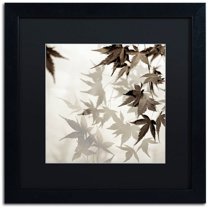 Trademark Fine Art "Florison 57" Canvas Art by Alan Blaustein, Black Matte, Black Frame