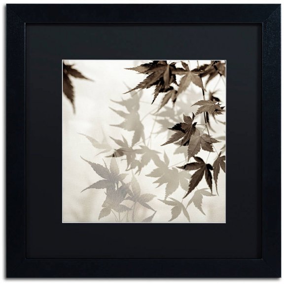 Trademark Fine Art "Florison 57" Canvas Art by Alan Blaustein, Black Matte, Black Frame