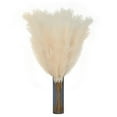 thumbnail image 2 of TETOU 6 Stems Faux Pampas Grass 43.3" Tall Big Pompous Grass Vase Filler Home Boho Decor - Beige, 2 of 10