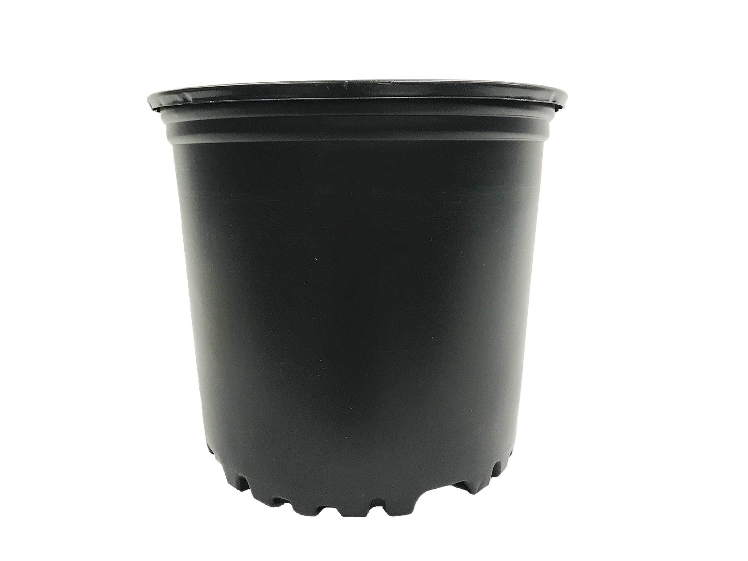 100 Count Trade Gallon Size Landmark Plastics Nursery Black Plastic Pots