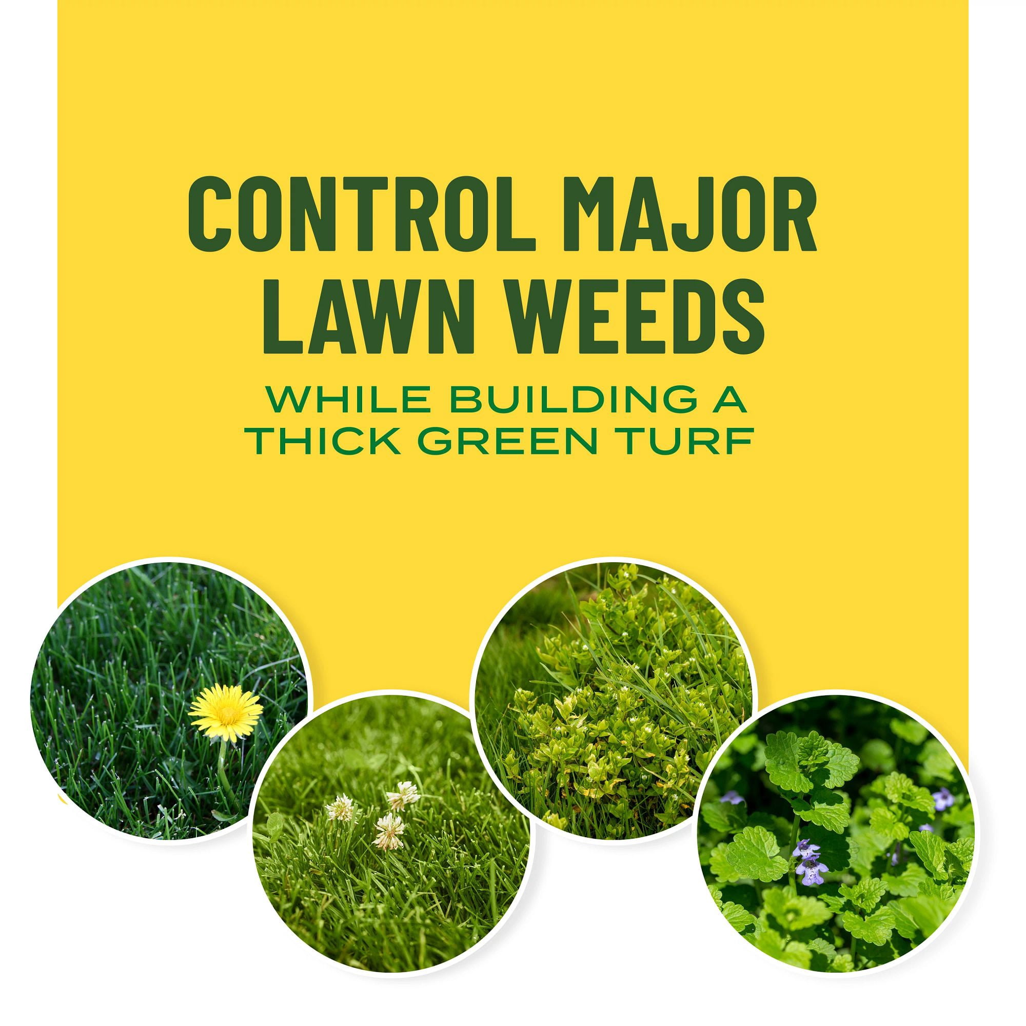 Scotts Turf Builder Liquid Lawn Food Plus Weed Control, Controls Dandelions, 32 fl. oz.