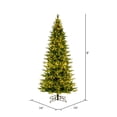 thumbnail image 3 of Vickerman 9' x 52" Balsam Spruce Slim Artificial Christmas Tree, 3mm LED Color Changing Lights, 3 of 8