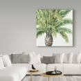thumbnail image 3 of Trademark Fine Art 'Mixed Greens III' Canvas Art by Lisa Audit, 3 of 3