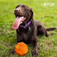 thumbnail image 5 of LaRoo Squeaky Dog Ball, Interactive Dog Toys for Boredom, Non-Toxic Bpa-Free, Ultra Durable Natural Rubber Training Squeaky Pet Toys for Large Medium Small Dogs, 5 of 8